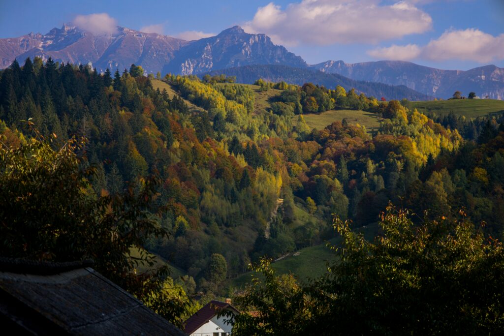 Transylvania, Carpathian Mountains, Romania